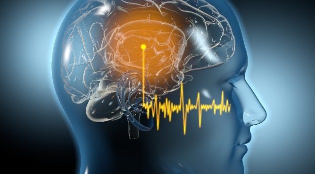 Catania, l’orecchio microcosmo e spia del cervello per prevenire neuroinfiammazioni: studio dell’Università