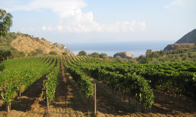 Vino, Messina e le sue 3 Doc: Malvasia delle Lipari, Faro e Mamertino (amato da Giulio Cesare)