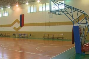 Paternò, Ars approva proposta del deputato Ardizzone (M5S): “500 mila euro per riqualificare il Palazzetto dello Sport”