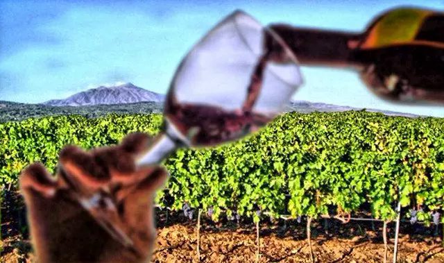 Etna, dal Trentino in Sicilia per scoprire l’enogastronomia sotto il Vulcano: una ‘cinque giorni’ della Strada del Vino e dei Sapori