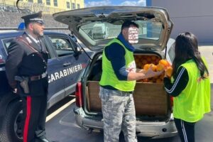 Catania, 3 tonnellate di arance rubate dentro auto falsamente rottamate: agrumi dati in beneficenza