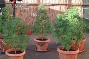 Mascalucia, ai domiciliari a casa della nonna nascondeva la droga nel forno a legna: 29enne denunciato