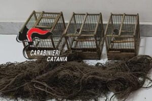 Licodia Eubea, dentro l’auto cardellini di specie protetta e armi improprie: 42enne denunciato