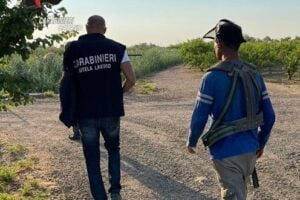 Paternò, controlli dei carabinieri del NIL trovati lavoratori in nero in un assicurazione e autonoleggio