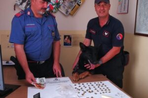 Zafferana, due fratelli spacciatori scoperti anche grazie al cane Riley