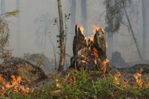 Sicilia, allerta rossa per rischio incendi diramato dalla Protezione civile: fino alla mezzanotte