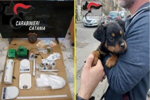 Catania, spaccio di droga nella stessa casa dov’è stato trovato un cucciolo di Rottweiler: 4 pusher in manette (VIDEO)