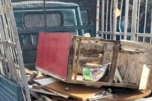 Catania, Comune denuncia 11 zozzoni “getta rifiuti”: pagheranno ammenda da mille a diecimila euro