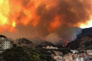 Incendi in Sicilia, dossier del Wwf: “Gravi errori della politica siciliana”
