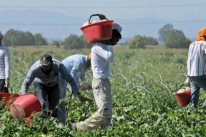 Migranti, sequestrati 12 mln a imprenditore siciliano per favoreggiamento immigrazione clandestina e sfruttamento del lavoro