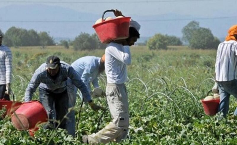 Migranti, sequestrati 12 mln a imprenditore siciliano per favoreggiamento immigrazione clandestina e sfruttamento del lavoro