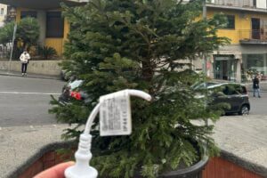 Paternò, ignoti rubano le luci dell’albero di Natale vicino a largo Assisi. Sdegno unanime: “Gesto di stupidità umana”