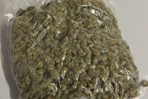 Catania, due giovani di Paternò arrestati per possesso di droga: nell’auto avevano 2 kg di marijuana