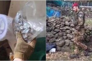 Belpasso, piantagione di canapa indiana in un rudere di c.da Segreta: 43enne arrestato (VIDEO)