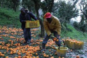 Paternò, ente agricolo paga rimpatrio della salma del bracciante marocchino ucciso da connazionale
