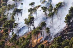 Incendi in Sicilia, Governo delibera stato di emergenza per 12 mesi: stanziamento di 6 mln