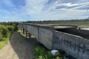 Palagonia, pronti a partire i lavori per il risanamento del canale Cavazzini. Schifani: “Buona notizia per il comparto agricolo”