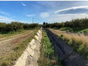Palagonia, pronti a partire i lavori per il risanamento del canale Cavazzini. Schifani: “Buona notizia per il comparto agricolo”