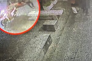 Catania, a bordo di uno scooter tentò scippo a una donna nel centro cittadino: 39enne arrestato (VIDEO)