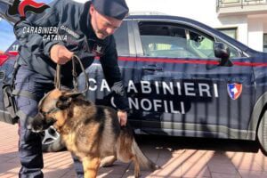 Pedara, cane fiuta marijuana nei bagno di una comunità d’accoglienza per extracomunitari