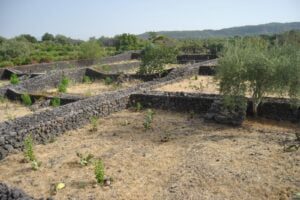 Adrano Città Sicula, a Palazzo Bianchi si parla degli indoeuropei della penisola italica: il 21