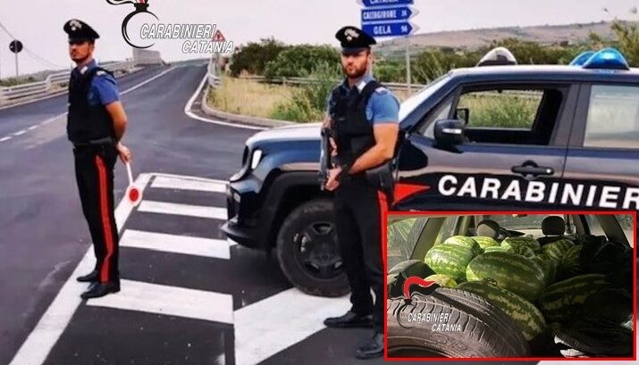 Ramacca, angurie rubate (per oltre 500 kg) vendute a prezzi stracciati: denunciati due pregiudicati