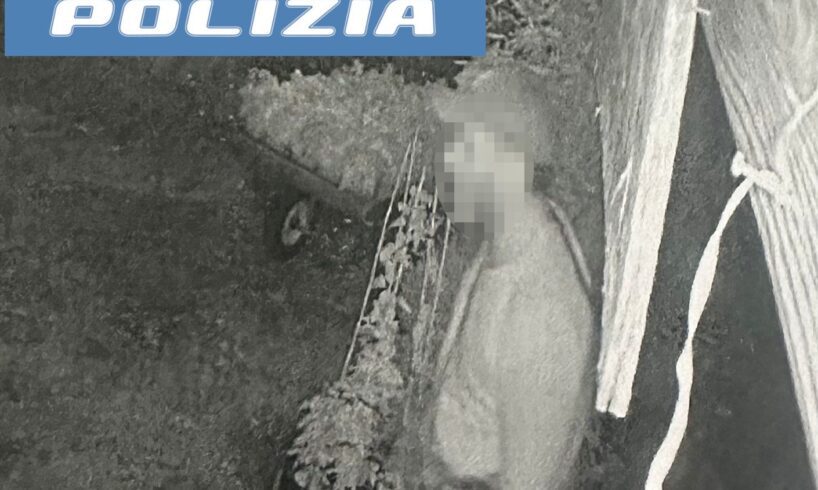 Catania, 47enne ruba 20 barattoli di miele e l’incasso di una bottega: denunciato