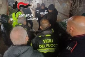 Aci S. Antonio: nell’’allevamento di animali trovati liquami, carcasse e amianto. Attività sospesa e titolare denunciato