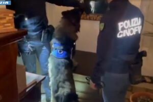 Catania, 34enne barman-spacciatore incastrato da due cani antidroga: arrestato (VIDEO)