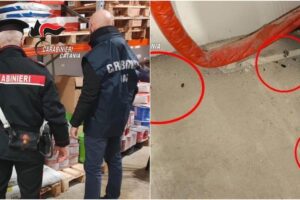 Catania, cacca di topi nel laboratorio di un bar-pasticceria: titolare multato e deposito chiuso