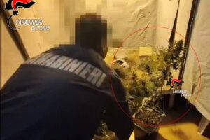Mascalucia, 38enne realizza in casa una serra artigianale per coltivare marijuana: arrestato