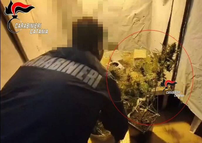 Mascalucia, 38enne realizza in casa una serra artigianale per coltivare marijuana: arrestato