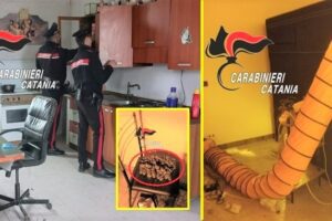 Ramacca, serra di droga in campagna con allacciamento elettrico abusivo: 31enne denunciato