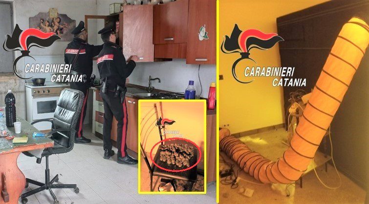 Ramacca, serra di droga in campagna con allacciamento elettrico abusivo: 31enne denunciato