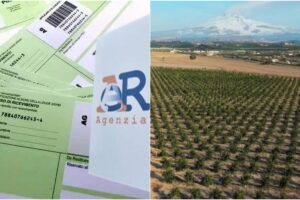Catania, da Agenzia Entrate cartelle con importi proibitivi per i produttori agricoli della Piana. Arcoria (Confagricoltura): “Pronti a fare le barricate”