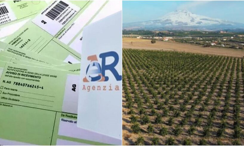 Catania, da Agenzia Entrate cartelle con importi proibitivi per i produttori agricoli della Piana. Arcoria (Confagricoltura): “Pronti a fare le barricate”