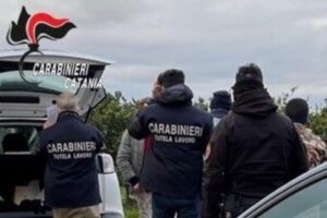 Caporalato Paternò: denunciati quattro uomini per sfruttamento dei braccianti agricoli