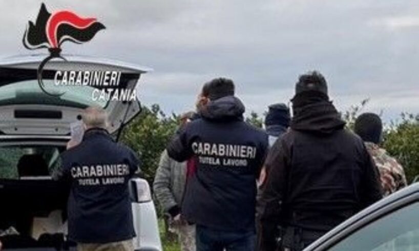 Caporalato Paternò: denunciati quattro uomini per sfruttamento dei braccianti agricoli