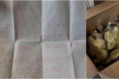 Catania, i ladri restituiscono le colombe pasquali e si scusano: “Ignoravamo fosse associazione di ragazzi Down”