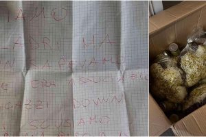 Catania, i ladri restituiscono le colombe pasquali e si scusano: “Ignoravamo fosse associazione di ragazzi Down”