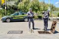 GdF sequestra a Belpasso 28 mila litri di benzina contaminata: denunciato il gestore del rifornimento