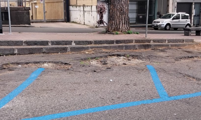 Paternò, proteste dei cittadini per le strisce blu sulle strade deformate dalle radici degli alberi