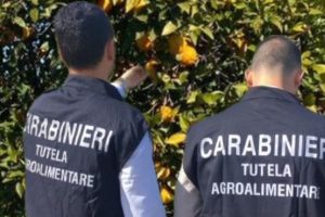 Palagonia, sequestrati loghi ed etichette per taroccare l’Arancia Rossa di Sicilia