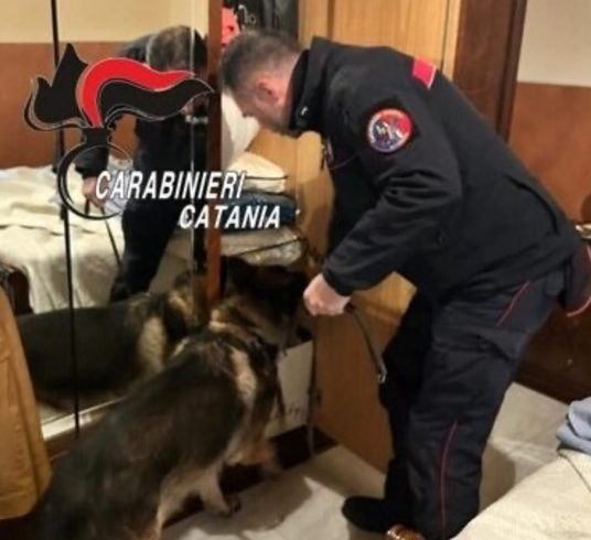 Paternò, pusher 41enne deteneva cocaina in casa: arrestato