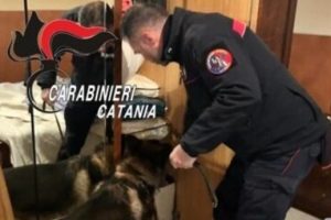 Paternò, pusher 41enne deteneva cocaina in casa: arrestato
