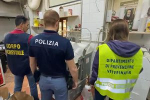 Catania, scarafaggi e sporcizia in un panificio del centro: accertamenti dopo segnalazione su YouPol (VIDEO)