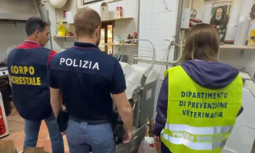 Catania, scarafaggi e sporcizia in un panificio del centro: accertamenti dopo segnalazione su YouPol (VIDEO)