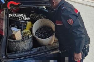 Giarre, sequestrati 90 kg di molluschi non tracciabili: sanzionato 31enne
