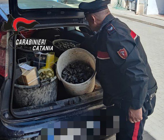 Giarre, sequestrati 90 kg di molluschi non tracciabili: sanzionato 31enne