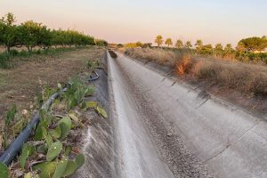 Cia Sicilia, stagione irrigua resta critica ma non drammatica: 900 km di reti idrauliche da mantenere